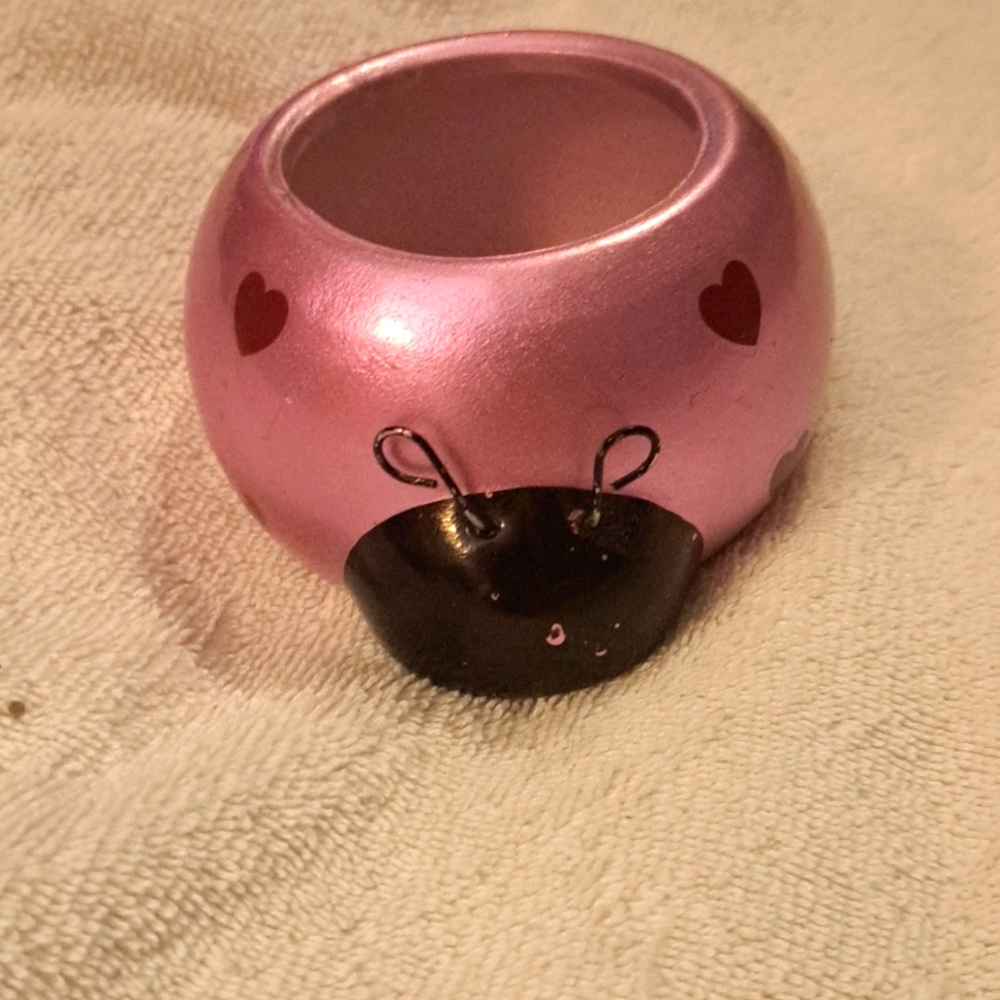 Lady bug